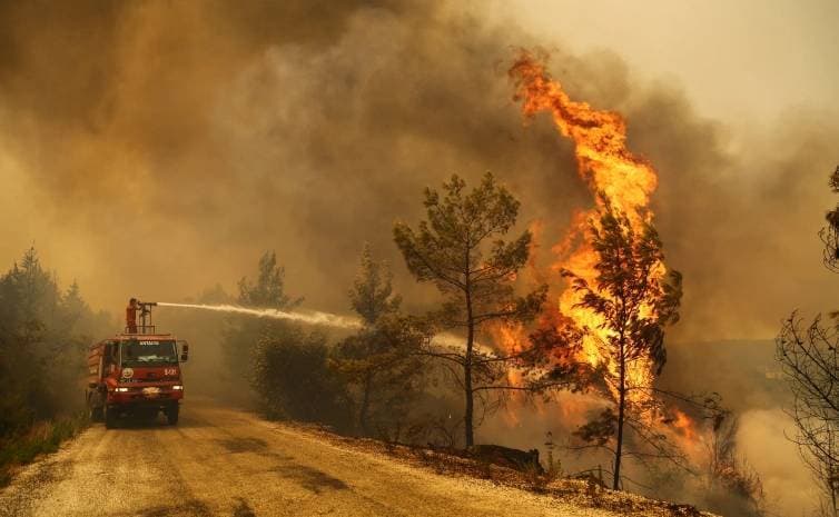 Gelombang Panas Picu Kebakaran Hutan di Spanyol dan Prancis, Korban Tewas Berjatuhan