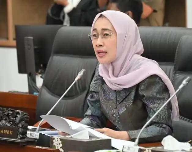 Ketua Komisi VI DPR RI, Anggia Ermarini