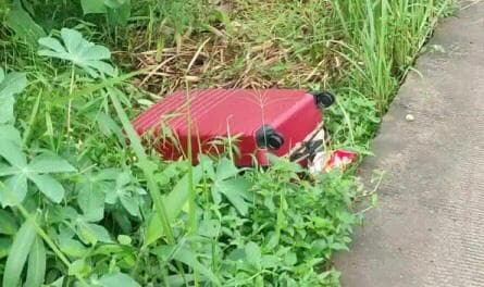 Potongan Kaki Ditemukan di Sungai Tangerang, Diduga Korban Mutilasi dalam Koper Merah di Tenjo