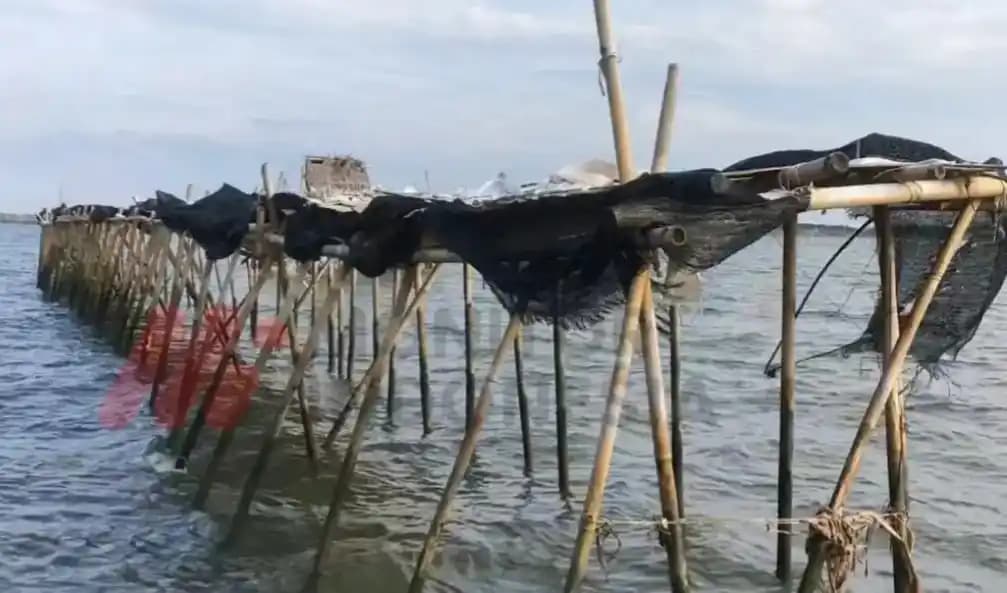Korupsi Pagar Laut