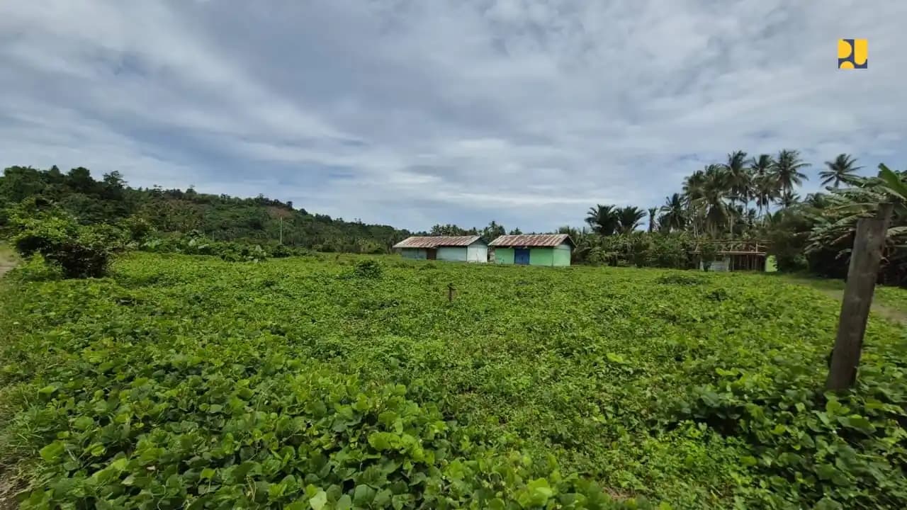 Lahan SR