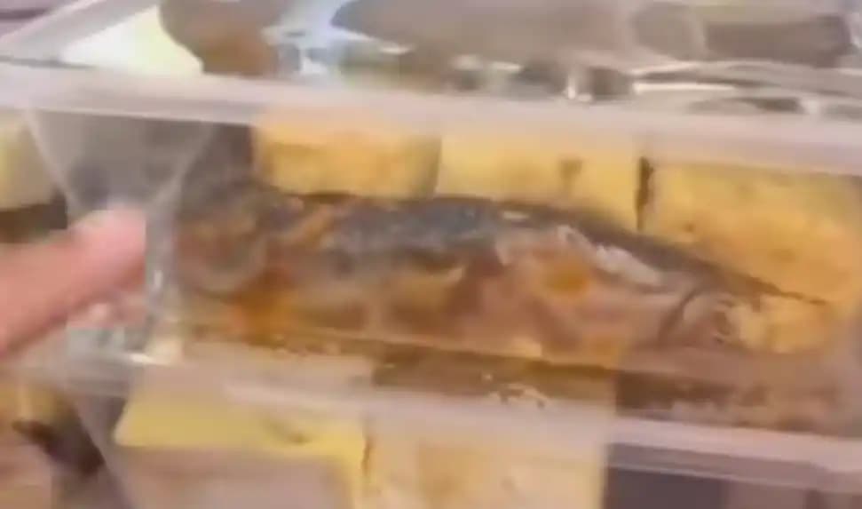 Menu MBG berupa ikan lele yang masih mentah