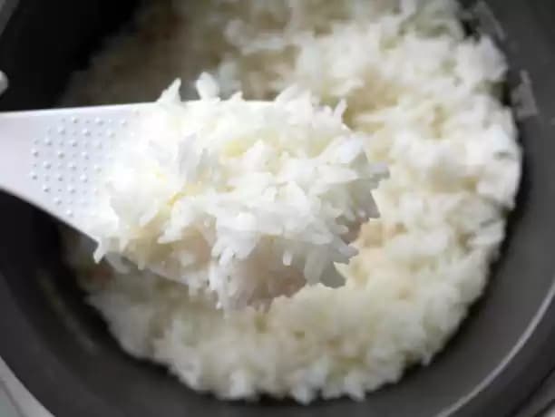 nasi putih