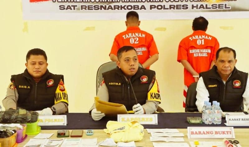 Dua Pemuda Pengedar 2 Kg Ganja di Halmahera Selatan Diringkus polisi