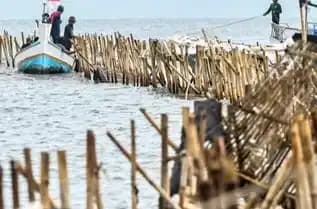 Pagar Laut AHY