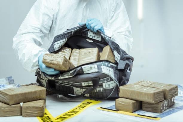 Polisi Thailand Sita Narkoba Senilai Rp 124 Miliar