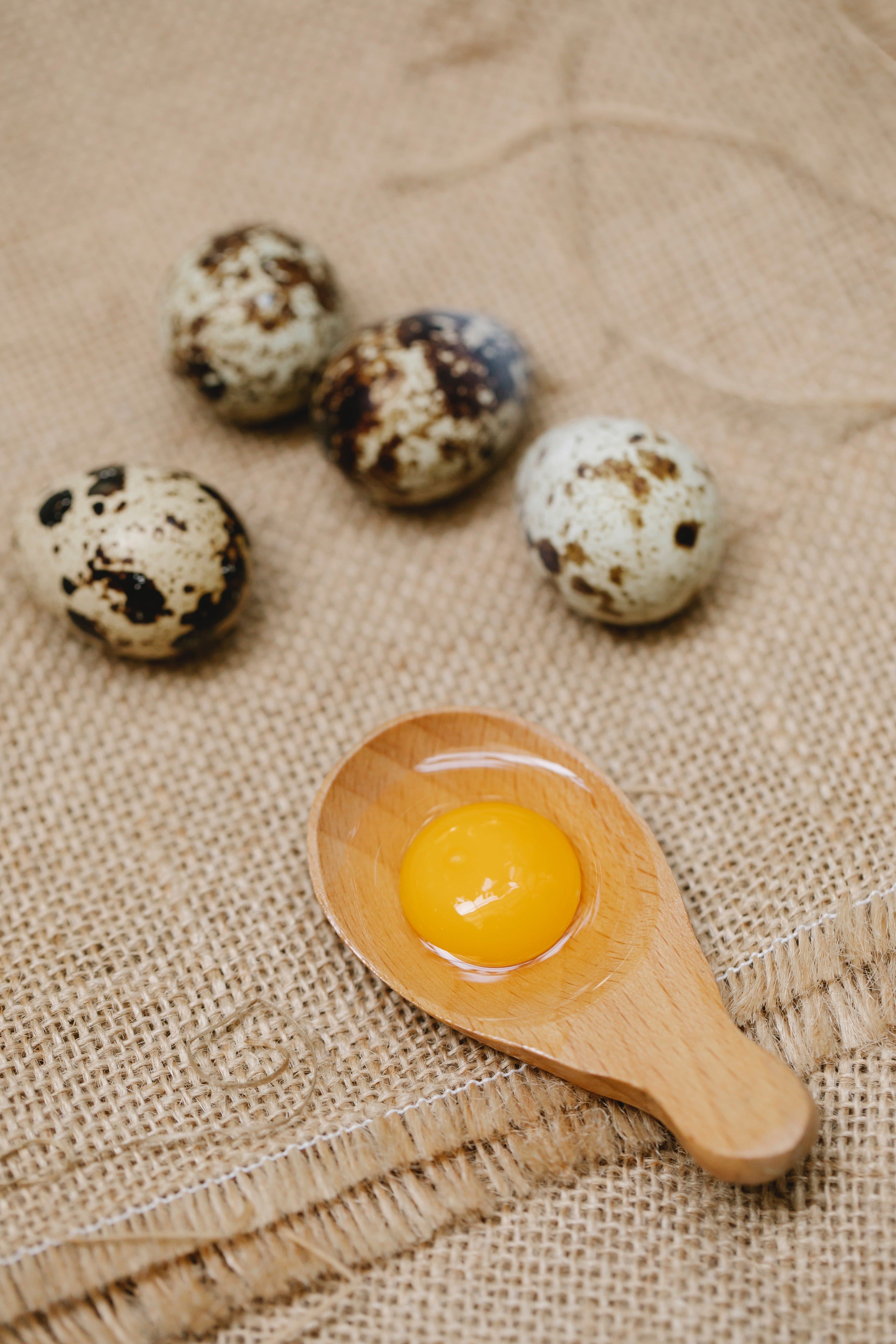 4 Manfaat Kuning Telur Bagi Kesehatan