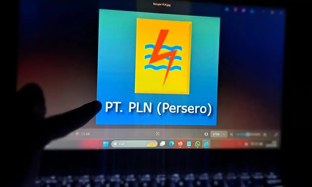 PLN
