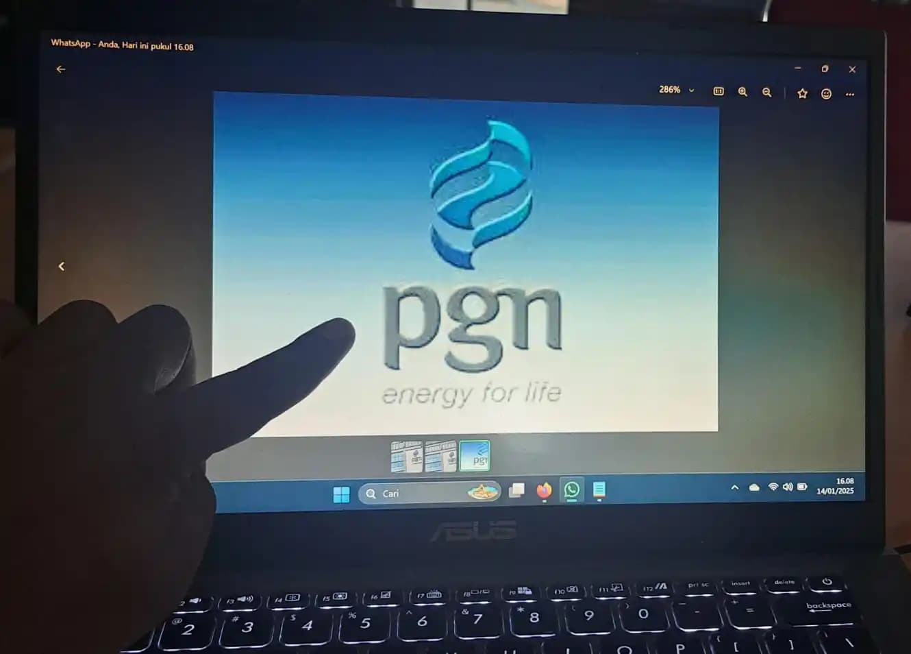 PT PGN