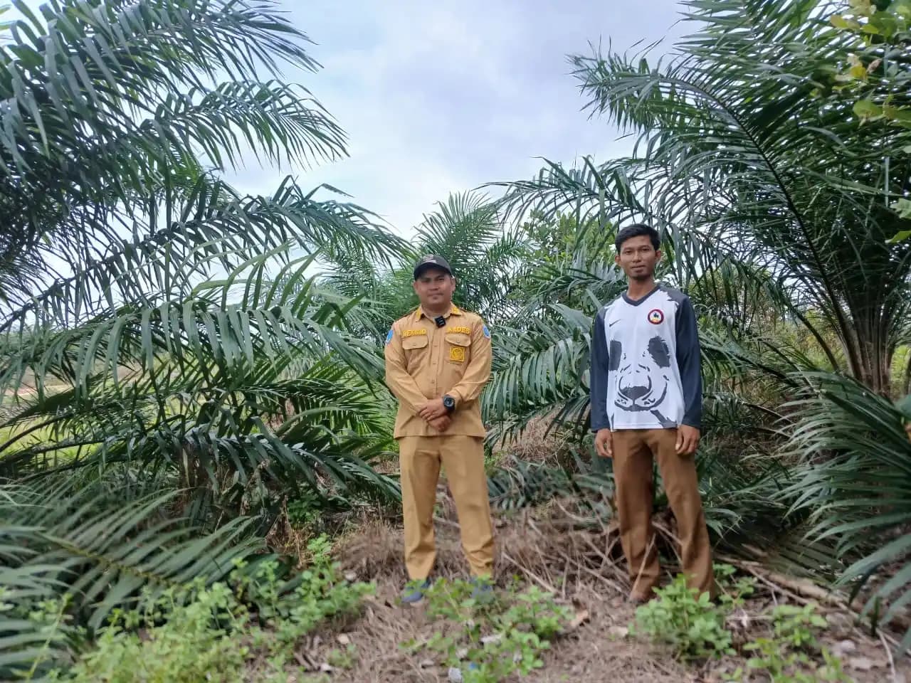 PT Timah - Lahan Tambang