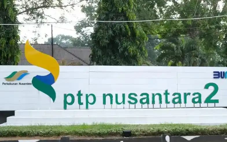PTPN II