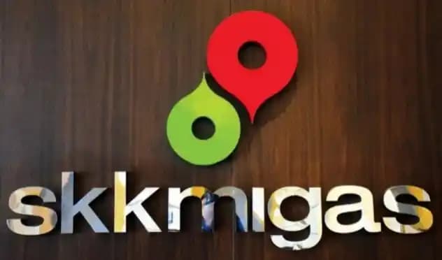 SKKS Migas Temuan BPK
