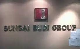 Sungai Budi Group