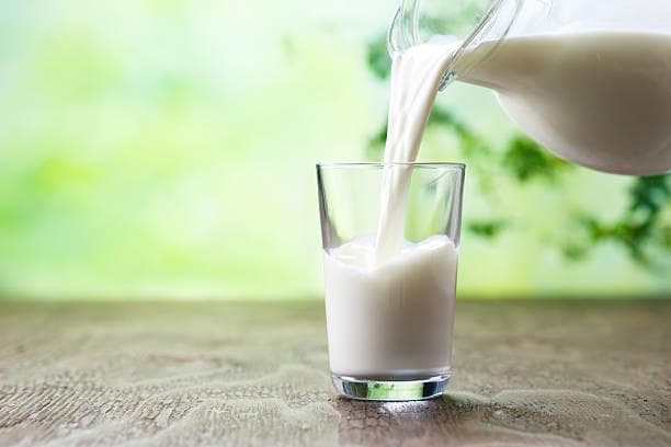 Waspada, 5 Makanan Ini Tidak Boleh Dikonsumsi Bersama dengan Susu