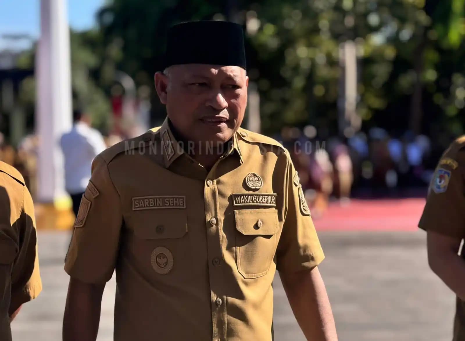Wakil Gubernur Malut, Sarbin Sehe