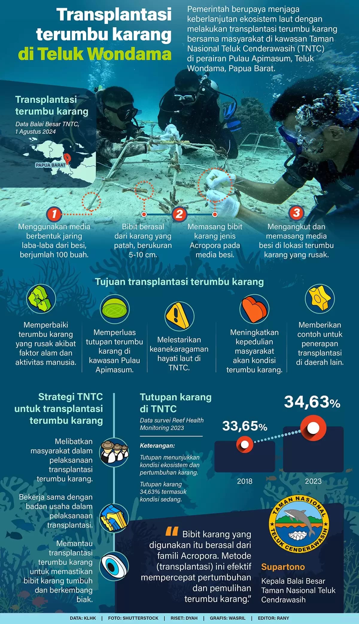 Infografis - Transplantasi Terumbu Karang Teluk Wondama