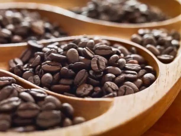 Ini Perbedaan Kopi Arabika dan Robusta