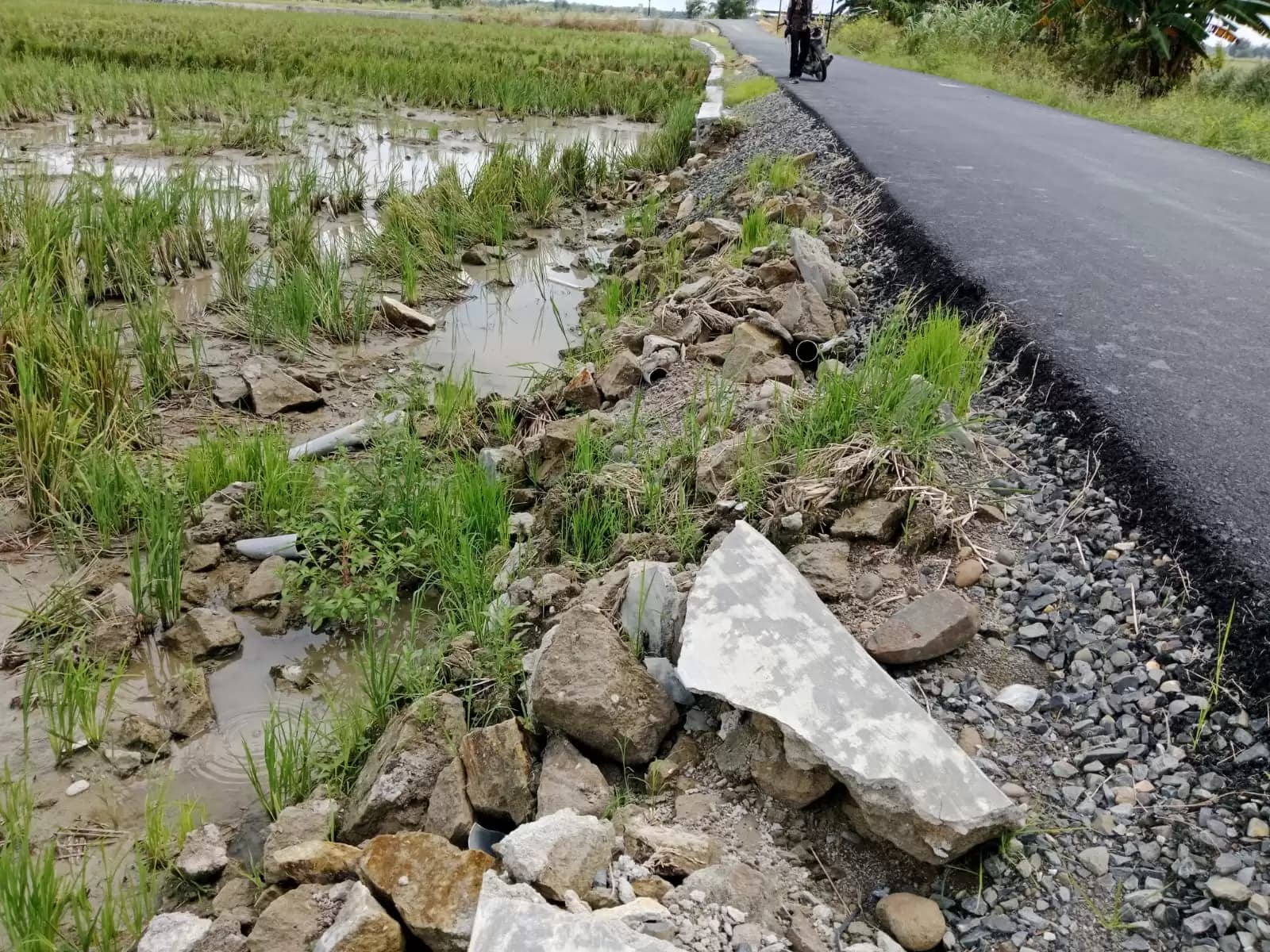 Proyek Pembangunan Turap Milik Dinas PTUR Asahan Ambruk Tak Kunjung Diperbaiki, Warga: Asal Jadi!