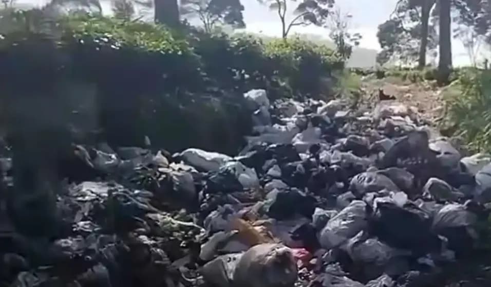 DLH Ungkap Penyebab Tumpukan Sampah di Pangalengan Bandung