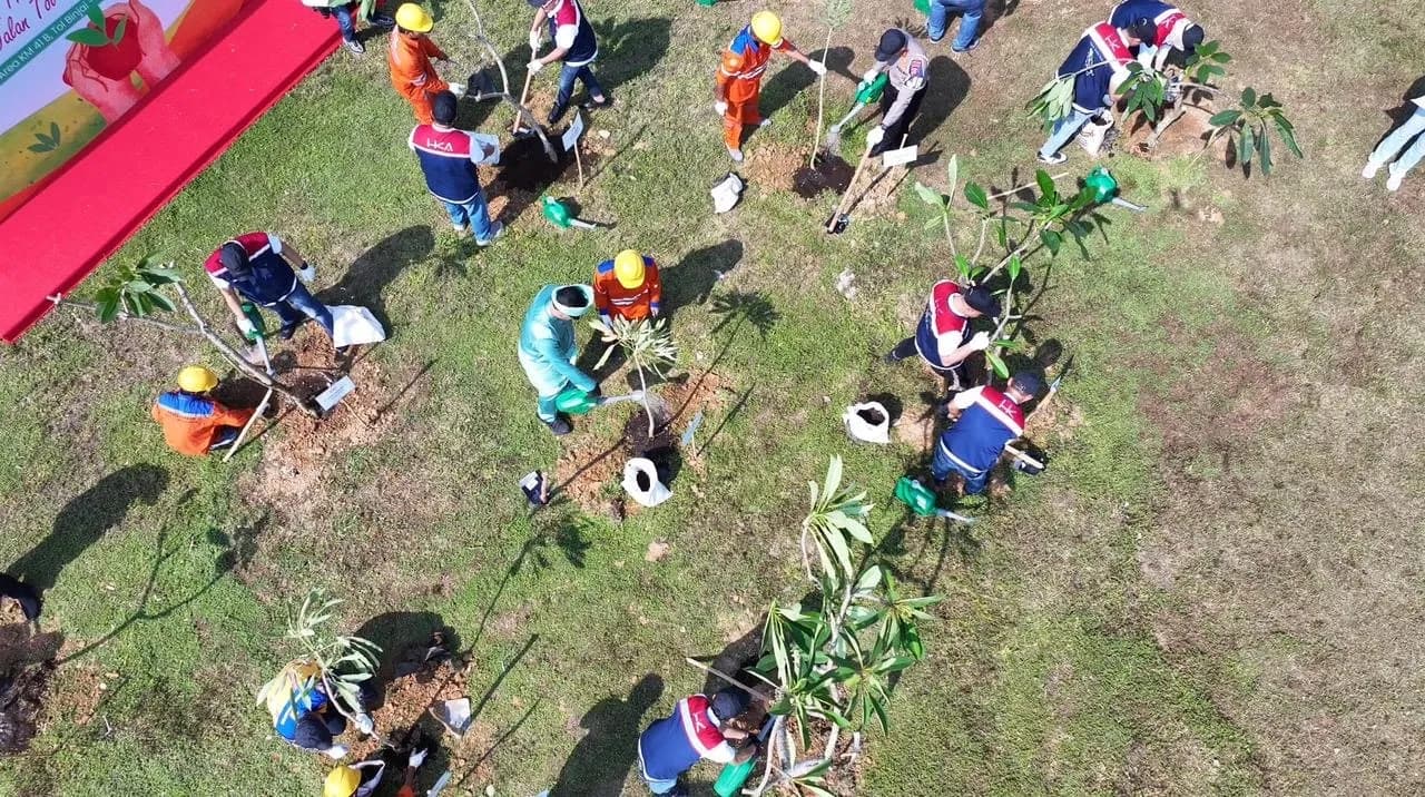 Hutama Karya Tanam 17.000 Pohon di JTTS