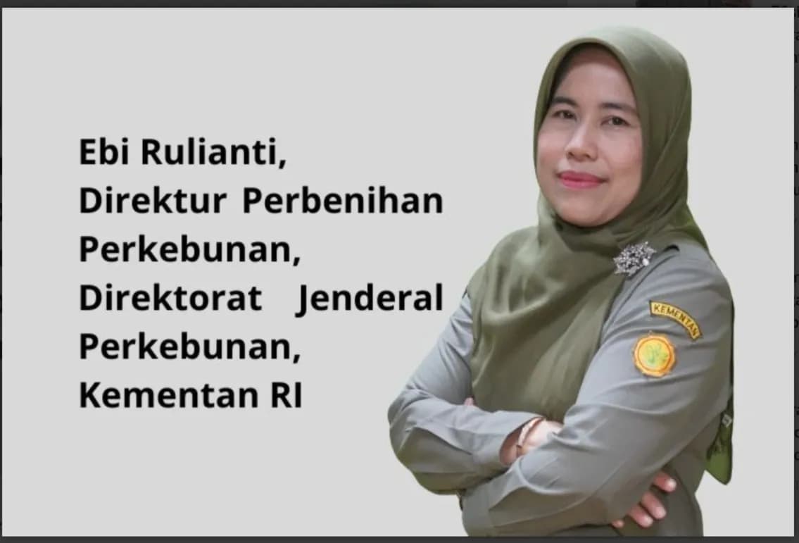 Skandal Bibit Kopi Rp70,8 M: Jutaan Batang Diduga Fiktif, Daerah Mengaku “Tak Pernah Ada”