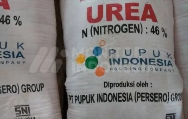 Skandal Pupuk Subsidi! BPK Temukan 23 Ribu Ton Salah Sasaran, Negara Rugi Rp103 M