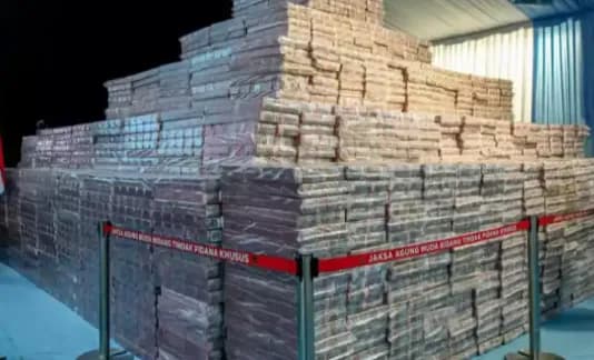 Satgas PKH Setor Rp10,27 Triliun Hasil Penertiban Hutan ke Pemerintah