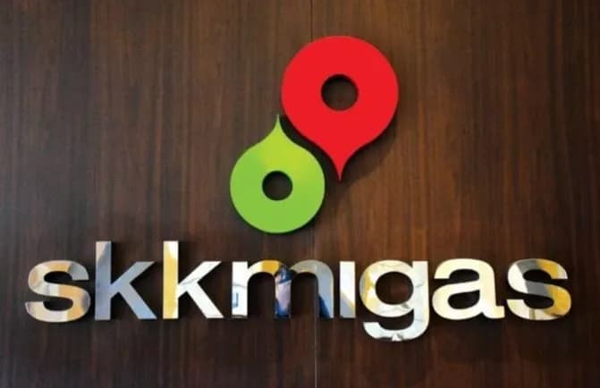 BPK Soroti Kelalaian Direksi Petronas Carigali, Cost Recovery Bermasalah Capai USD48 Ribu