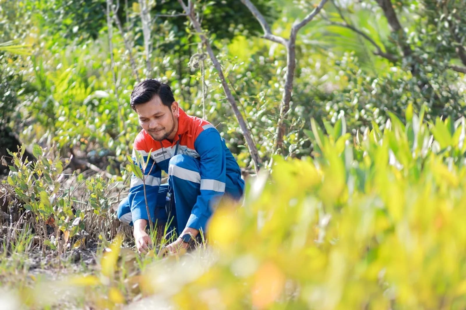Hutan Lestari Pertamina: Menenun Harmoni Alam, Menuai Kesejahteraan Masyarakat