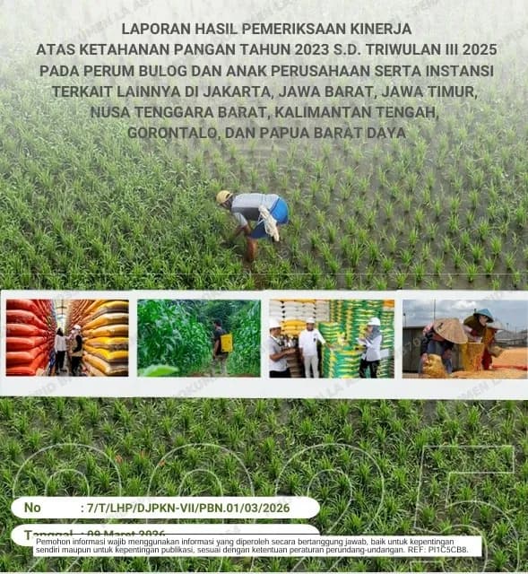 Ketahanan Pangan Nasional Dipertanyakan, BPK Temukan Perencanaan BULOG Berantakan