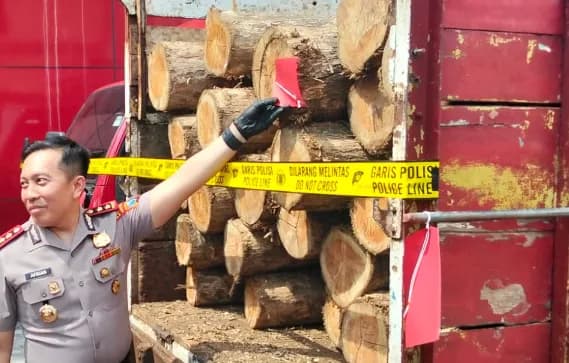 Penebangan Liar di Bubulan Terbongkar, Polisi Amankan Pelaku dan Kayu Jati