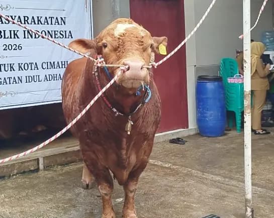 Prabowo Berkurban Pakai Dana APBN jadi Sorotan, Istana Buka Suara
