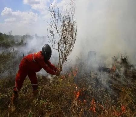 Riau Dilanda Cuaca Panas, BMKG Peringatkan Hujan Lebat dan 18 Hotspot Terpantau