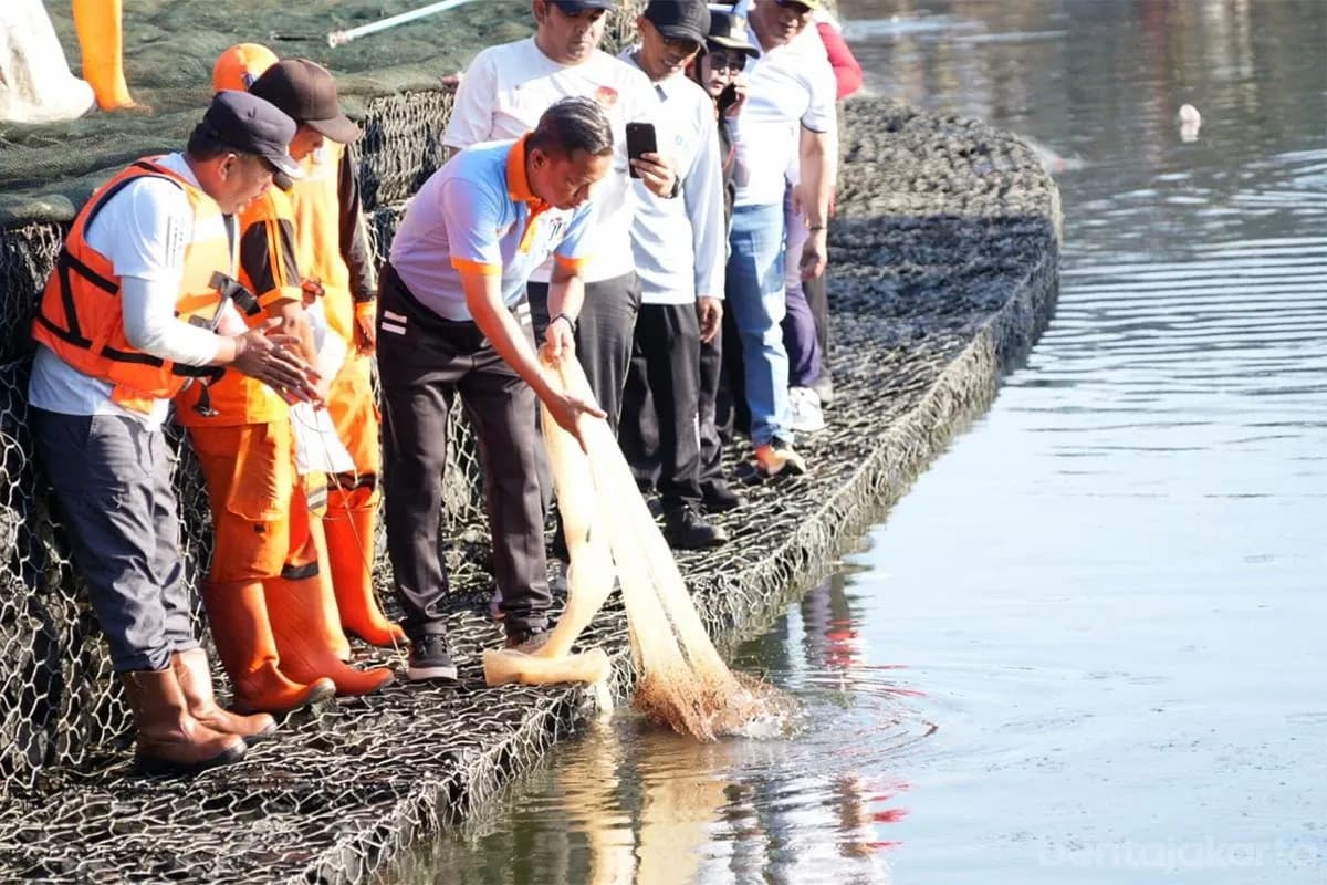 Ratusan Petugas Sisir Sungai dan Waduk di Cipayung, 277 Kilogram Ikan Sapu-sapu Berhasil Diangkat