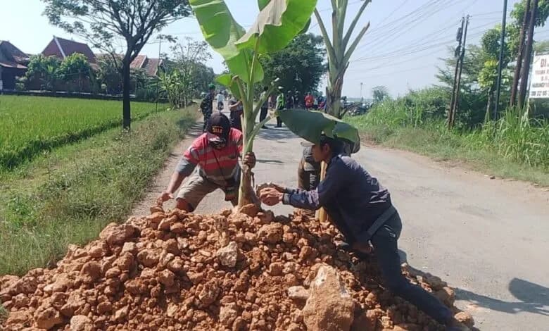 Usai Diprotes Warga Tanam Pohon Pisang, Jalan Rusak Randublatung-Cepu Akhirnya Diperbaiki