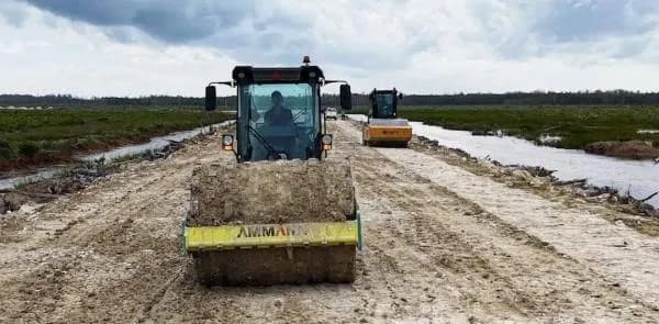 Mentan Amran Bantah Narasi 'Pesta Babi', Program Cetak Sawah untuk Kesejahteraan