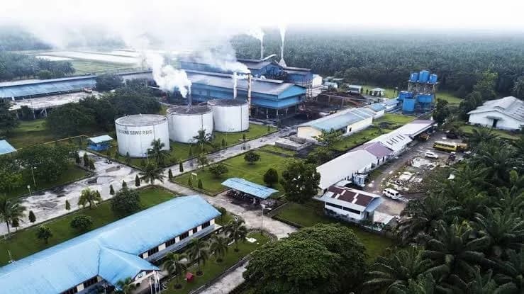 Harga Sawit Petani Dimainkan, 300 Perusahaan Dilaporkan ke Polri