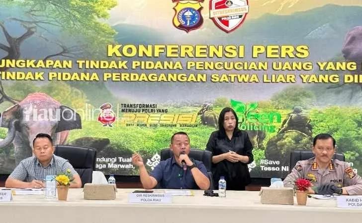 Polda Riau Bongkar TPPU Perdagangan Gading Gajah, Rp1,8 Miliar Mengalir