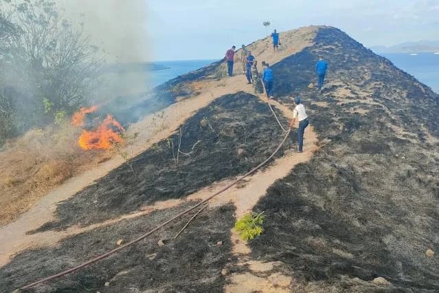 Puntung Rokok Picu Kebakaran di Bukit Silvia Labuan Bajo, 19 Hektar Terbakar