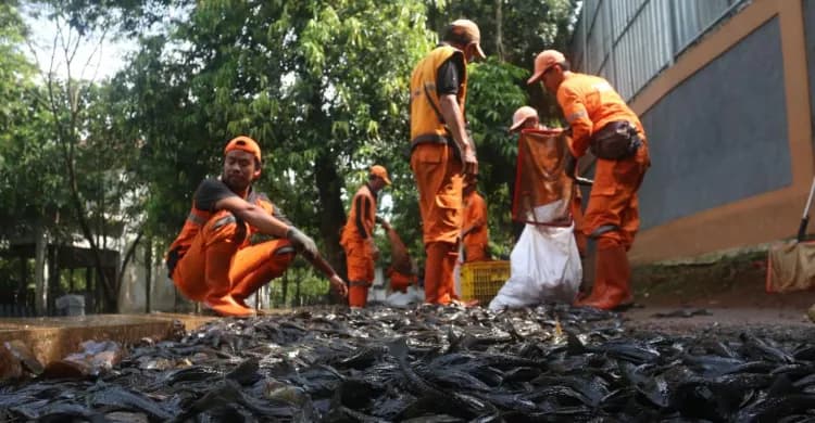 Pemprov DKI Buka 2.843 Lowongan Padat Karya, Gaji Setara UMP Rp5,7 Juta per Bulan