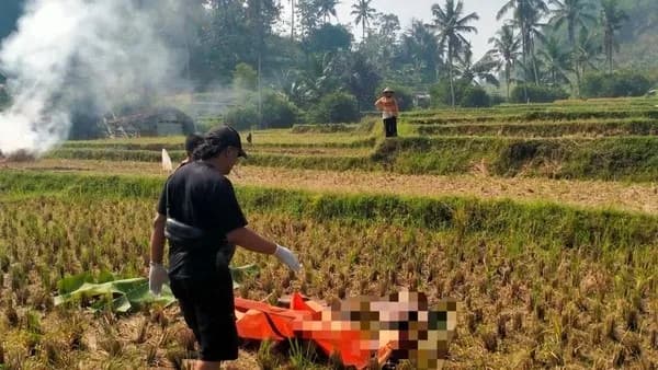 Misteri Mayat Tanpa Identitas Gegerkan Garut, Ditemukan Telanjang di Tengah Sawah