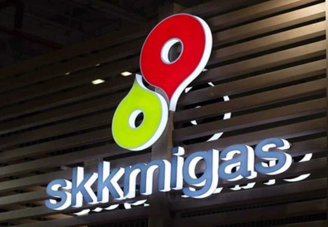 Aset Eks BP Migas Tak Kunjung Dihapus, SKK Migas Hamburkan Rp25,65 M