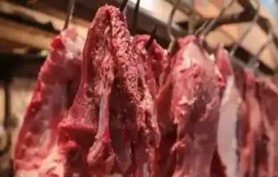 Borok RNI Group: Impor Daging hingga Laporan Keuangan Bermasalah, Kerugian Tembus Rp46,6 M