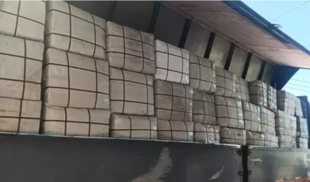 BNN Bongkar Penyelundupan 3,37 Ton Ganja dari Thailand, Diduga Akan Diolah Jadi Vape