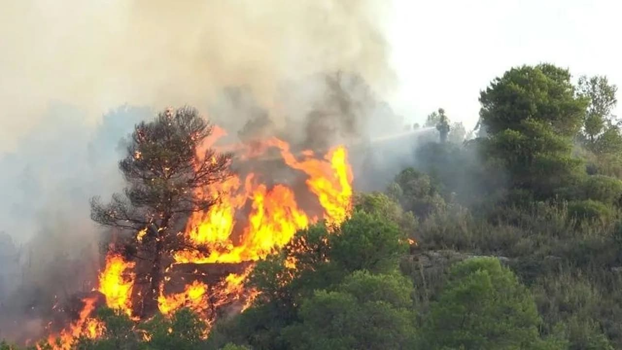 Jambi Siaga Karhutla, 137 Hektare Lahan Terbakar, 81 Posko Disiagakan Hadapi Puncak Kemarau