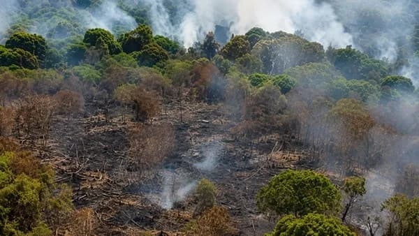 Karhutla Mengganas di Kotawaringin Timur, Hampir 11 Hektare Lahan Hangus
