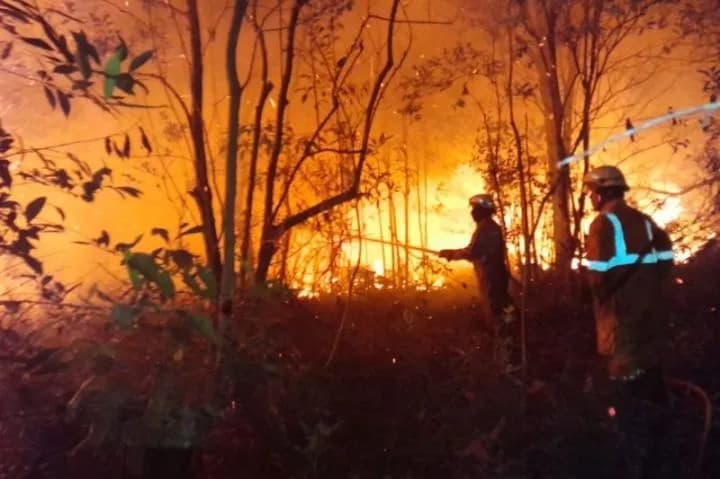 Karhutla Tak Terkendali, BPBD Kotim Minta Operasi Water Bombing Dipercepat