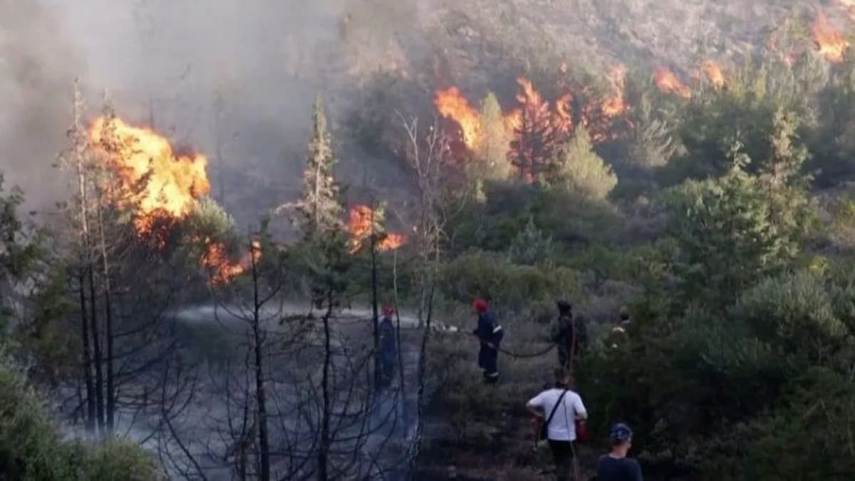 Karhutla 4 Hektare di Ketapang Belum Padam, Helikopter Water Bombing Dikerahkan