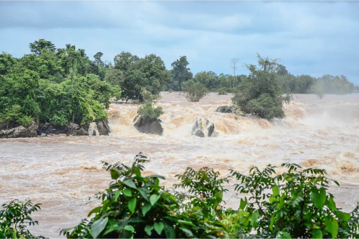 Ratusan Ular Berbisa Lepas Saat Banjir, China Kerahkan Tim Khusus Tangkap