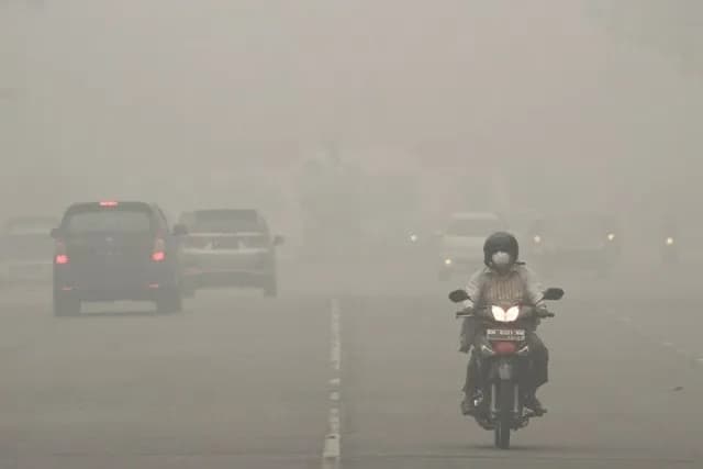 Kalbar Jadi Episentrum Karhutla Nasional, Lebih dari 28 Ribu Hektare Lahan Hangus